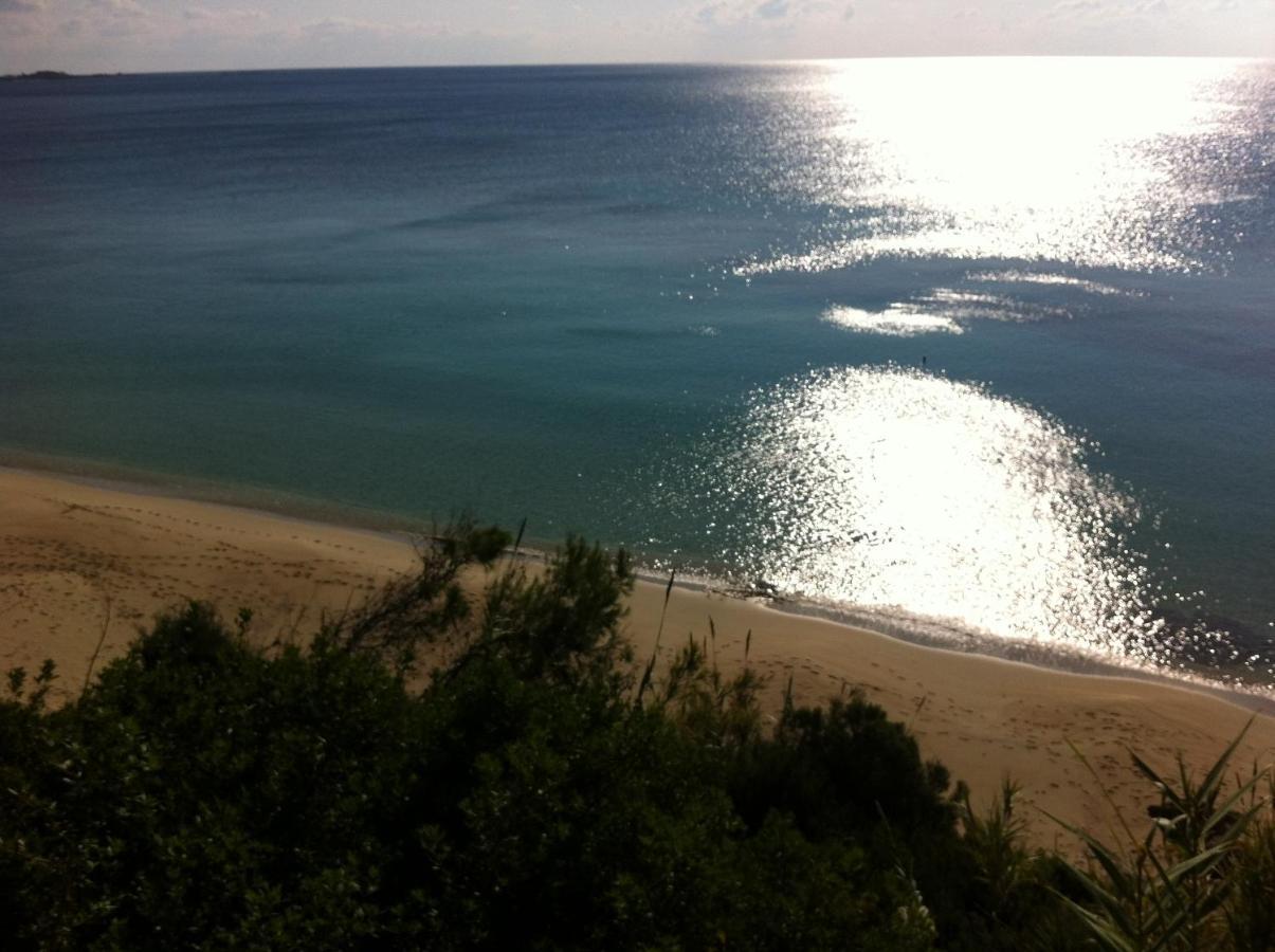 Villaparadiso Beach Front Villa Makris Gialos 阿尔戈斯托利翁 外观 照片